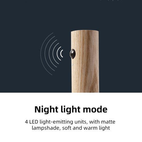 Portable Wireless Lamp  Motion Detected Lamp